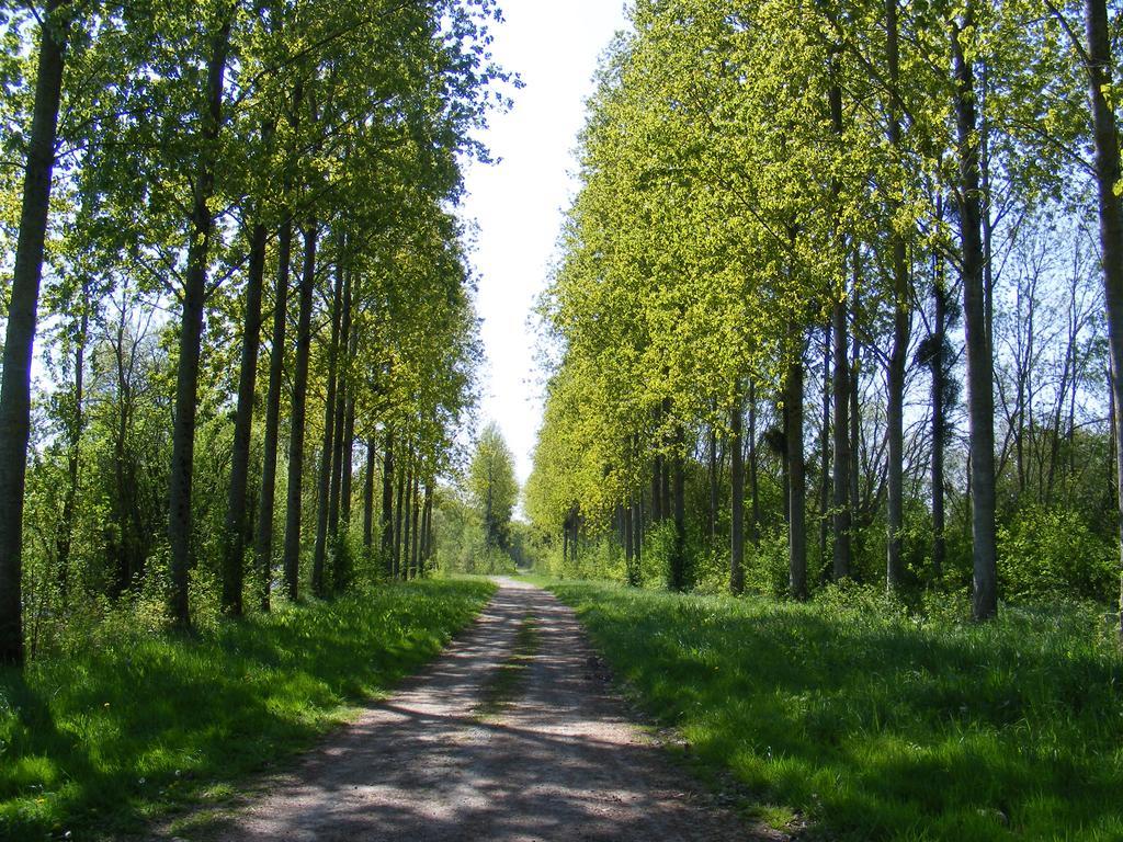 Bed & Breakfast Chambres D'hotes Vignes Et Loire